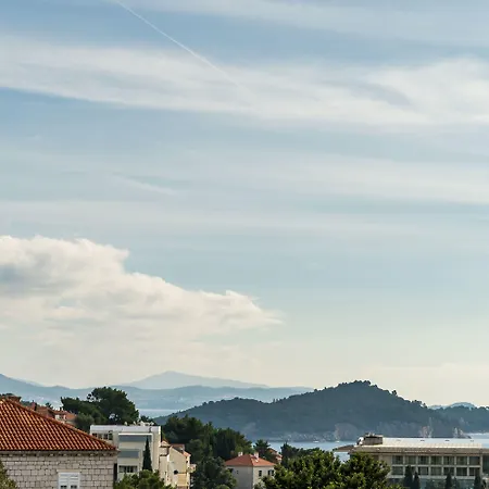 Bovolini's Place